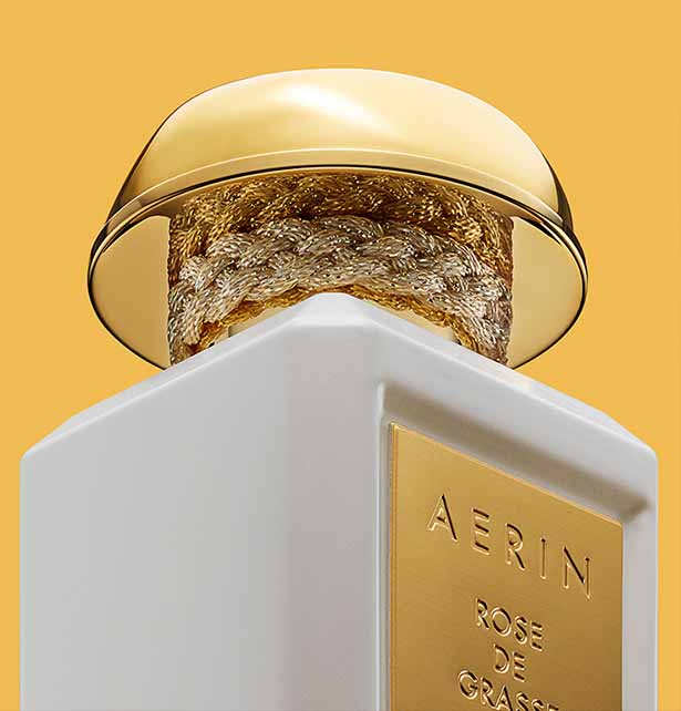 Aerin Hero