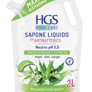 HGS LIQUID SOAP REFILL ALOE 2L
